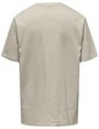 ONLY & SONS ONSLES CLASSIQUES RLX SS TEE 22028766