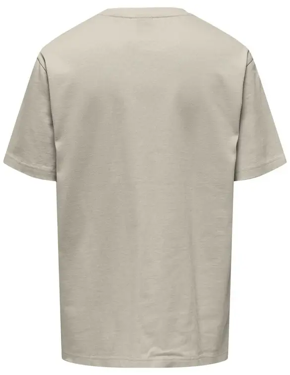 ONLY & SONS ONSLES CLASSIQUES RLX SS TEE 22028766