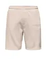 ONLY & SONS ONSLES CLASSIQUES SWEAT SHORTS 22028739