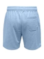 ONLY & SONS ONSLIAM REG SHORTS CS 22034438