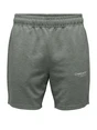 ONLY & SONS ONSLIAM REG SHORTS CS 22034438