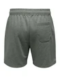 ONLY & SONS ONSLIAM REG SHORTS CS 22034438