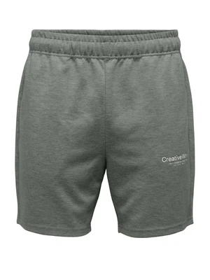 ONLY & SONS ONSLIAM REG SHORTS CS 22034438