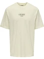 ONLY & SONS ONSLUIS PALM RLX SS TEE CS 22035584