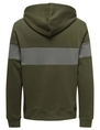 ONLY & SONS ONSLUKE LIFE REG CB HOODIE 22021694