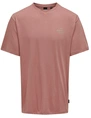 ONLY & SONS ONSMACE LIFE RLX FUNNY SS TEE 22029465