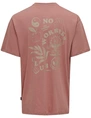 ONLY & SONS ONSMACE LIFE RLX FUNNY SS TEE 22029465