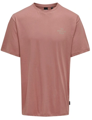 ONLY & SONS ONSMACE LIFE RLX FUNNY SS TEE 22029465