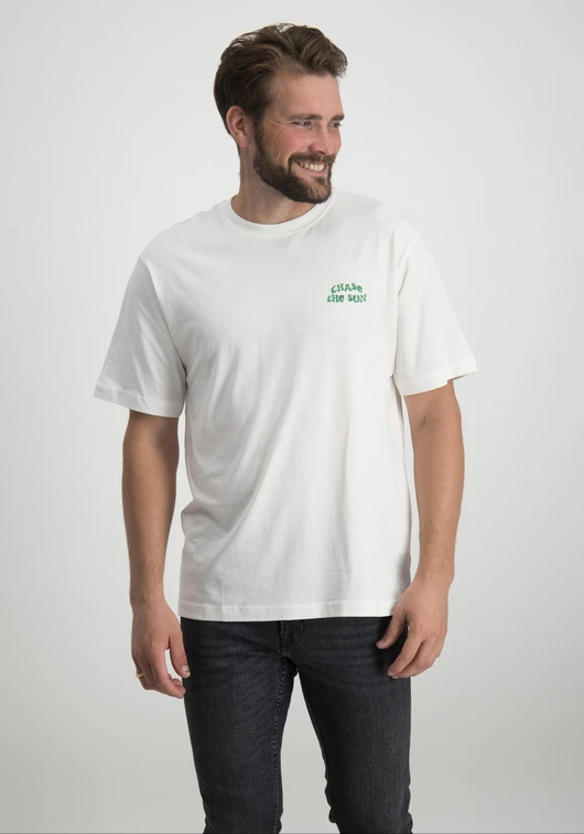 ONLY & SONS ONSMACE LIFE RLX FUNNY SS TEE 22029465