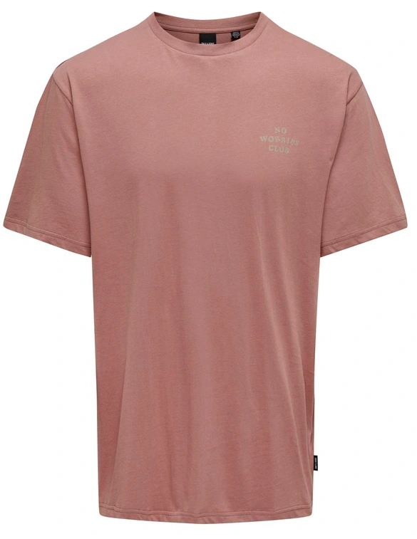 ONLY & SONS ONSMACE LIFE RLX FUNNY SS TEE 22029465