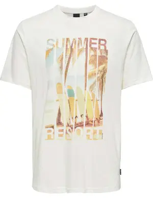 ONLY & SONS ONSMAGDY LIFE REG PHOTOPRINT SS TEE 22029454