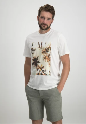 ONLY & SONS ONSMAGDY LIFE REG PHOTOPRINT SS TEE 22029454