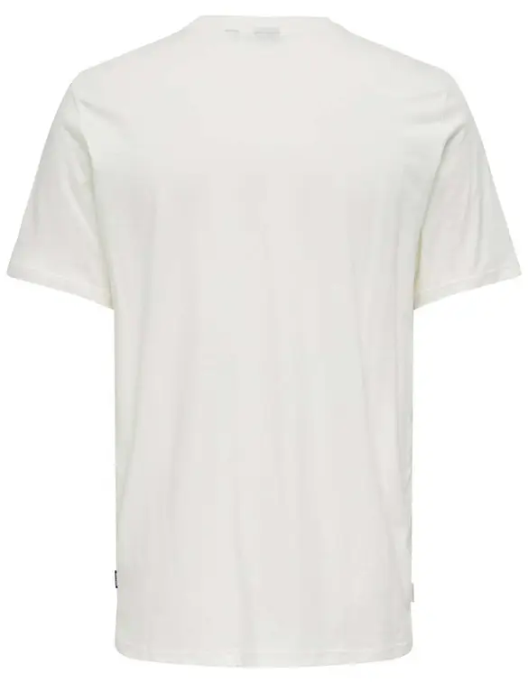 ONLY & SONS ONSMAGDY LIFE REG PHOTOPRINT SS TEE 22029454