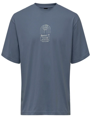 ONLY & SONS ONSMALIK LIFE RLX SS TEE 22029484