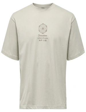 ONLY & SONS ONSMALIK LIFE RLX SS TEE 22029484