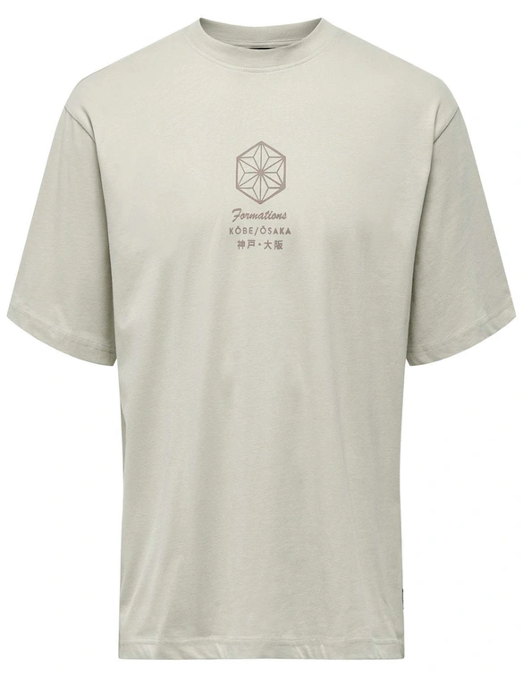 ONLY & SONS ONSMALIK LIFE RLX SS TEE 22029484