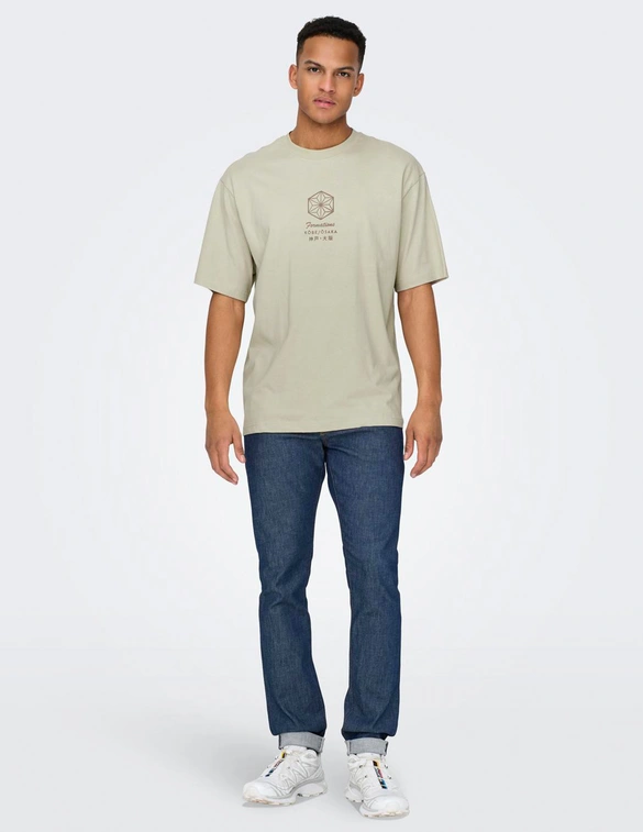 ONLY & SONS ONSMALIK LIFE RLX SS TEE 22029484