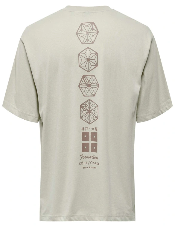 ONLY & SONS ONSMALIK LIFE RLX SS TEE 22029484