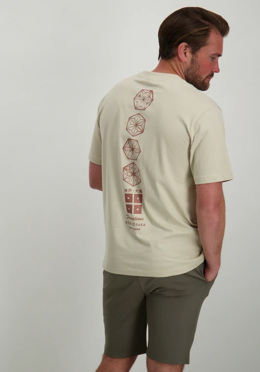 ONLY & SONS ONSMALIK LIFE RLX SS TEE 22029484