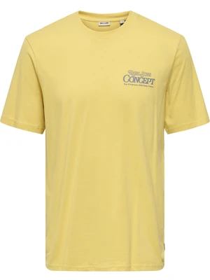 ONLY & SONS ONSMANUEL CASA LIFE REG SS DESERT C 22035268