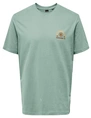 ONLY & SONS ONSMANUEL LIFE REG SS DESERT TEE CS 22035647