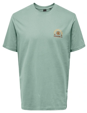 ONLY & SONS ONSMANUEL LIFE REG SS DESERT TEE CS 22035647