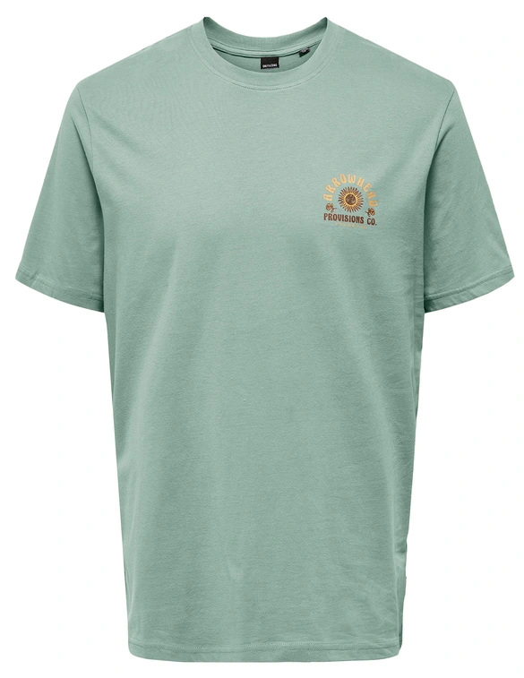 ONLY & SONS ONSMANUEL LIFE REG SS DESERT TEE CS 22035647