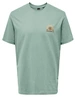 ONLY & SONS ONSMANUEL LIFE REG SS DESERT TEE CS 22035647