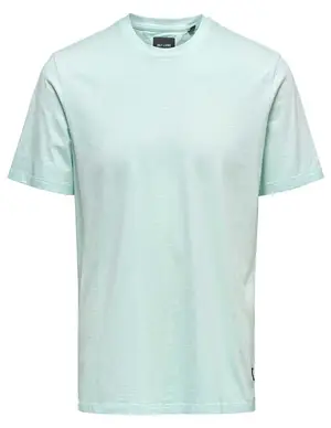 ONLY & SONS ONSMILLENIUM REG SS WASHED TEE NOOS 22018868