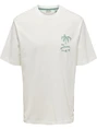 ONLY & SONS ONSMILO SKETCH RLX COAST SS TEE CS 22035271