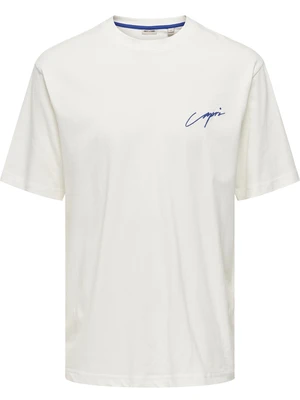 ONLY & SONS ONSMILO SKETCH RLX COAST SS TEE CS 22035271