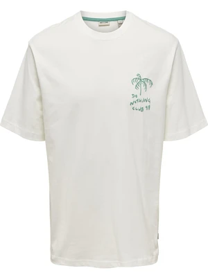 ONLY & SONS ONSMILO SKETCH RLX COAST SS TEE CS 22035271