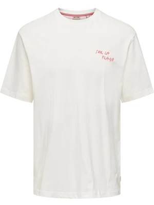 ONLY & SONS ONSMILO SKETCH RLX COAST SS TEE CS 22035271