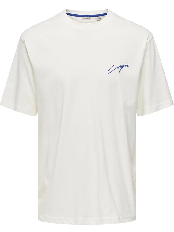 ONLY & SONS ONSMILO SKETCH RLX COAST SS TEE CS 22035271