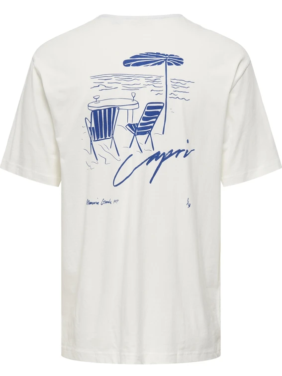 ONLY & SONS ONSMILO SKETCH RLX COAST SS TEE CS 22035271