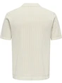 ONLY & SONS ONSMOON REG 12 SS POLO KNIT 22032760