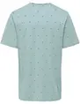 ONLY & SONS ONSMYRON LIFE REG SS DITSY TEE CS 22029480