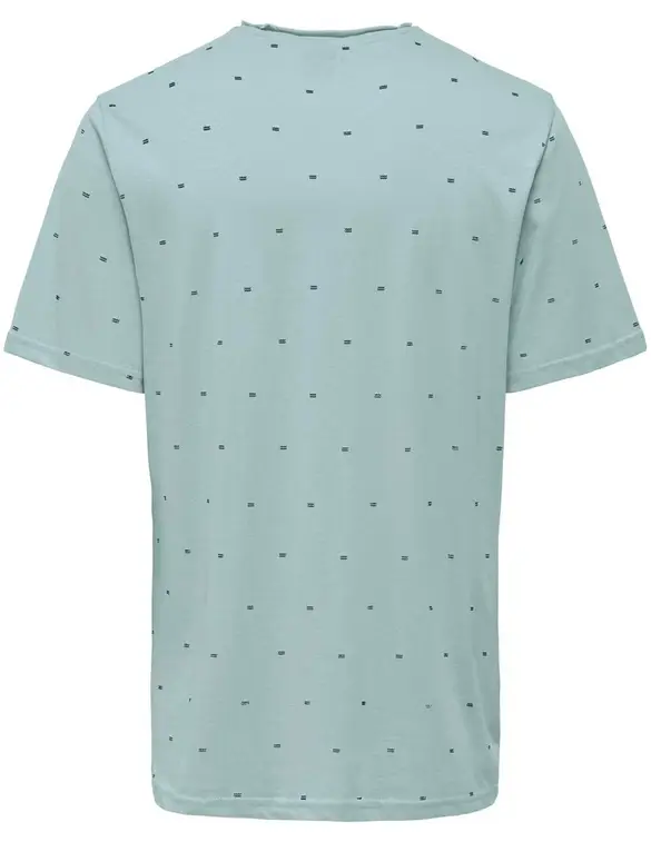 ONLY & SONS ONSMYRON LIFE REG SS DITSY TEE CS 22029480