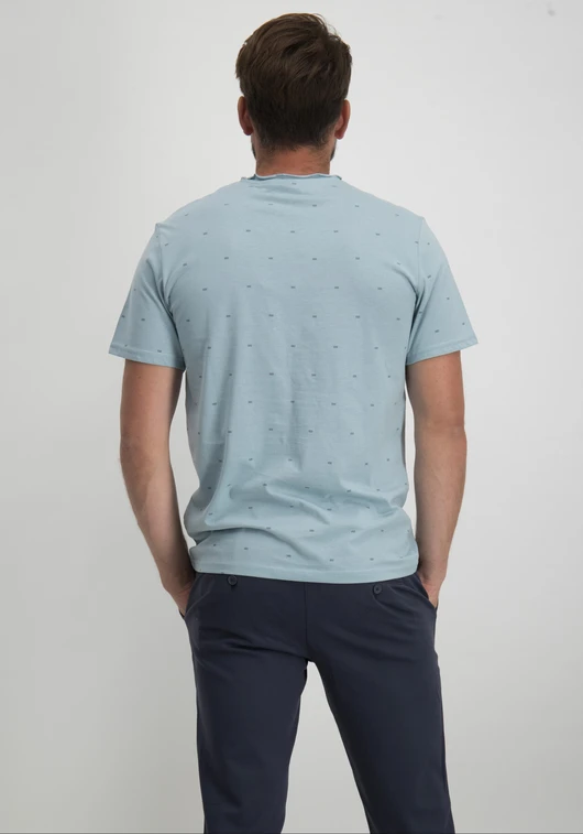ONLY & SONS ONSMYRON LIFE REG SS DITSY TEE CS 22029480
