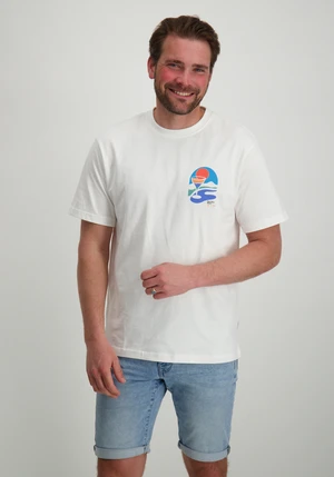 ONLY & SONS ONSPALM DAYS PRINT RLX SS TEE 22033417