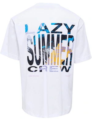 ONLY & SONS ONSPILOT RLX SUMMER SS TEE 22025301