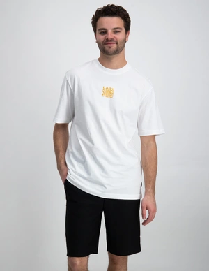 ONLY & SONS ONSPILOT RLX SUMMER SS TEE 22025301