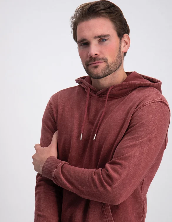 ONLY & SONS ONSRON REG HOODIE SWEAT BF 22024206