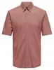 ONLY & SONS ONSTARP SLIM PIQUE BTN DOWN SS SHIR 22026106