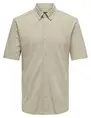 ONLY & SONS ONSTARP SLIM PIQUE BTN DOWN SS SHIR 22026106