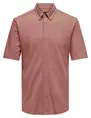 ONLY & SONS ONSTARP SLIM PIQUE BTN DOWN SS SHIR 22026106