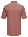 ONLY & SONS ONSTARP SLIM PIQUE BTN DOWN SS SHIR 22026106