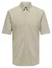 ONLY & SONS ONSTARP SLIM PIQUE BTN DOWN SS SHIR 22026106