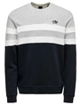ONLY & SONS ONSTHOR REG LOGO CB CREW 3626 SWT C 22023626