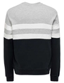 ONLY & SONS ONSTHOR REG LOGO CB CREW 3626 SWT C 22023626